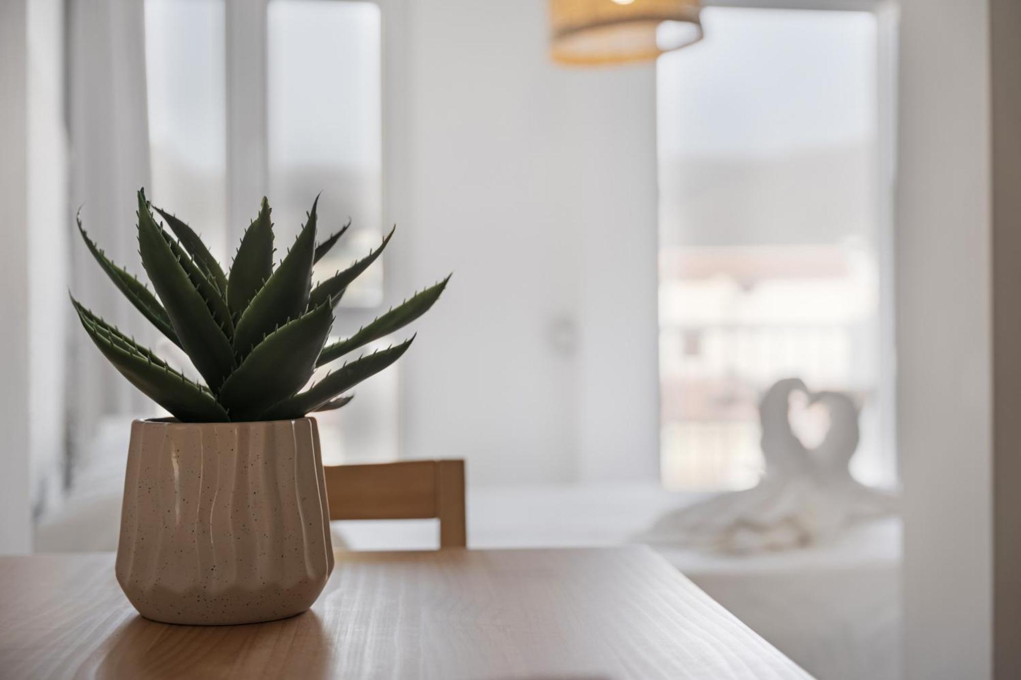 Apartament La Pista Sur
